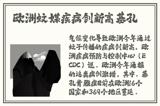 黄金网站app观看大全天涯